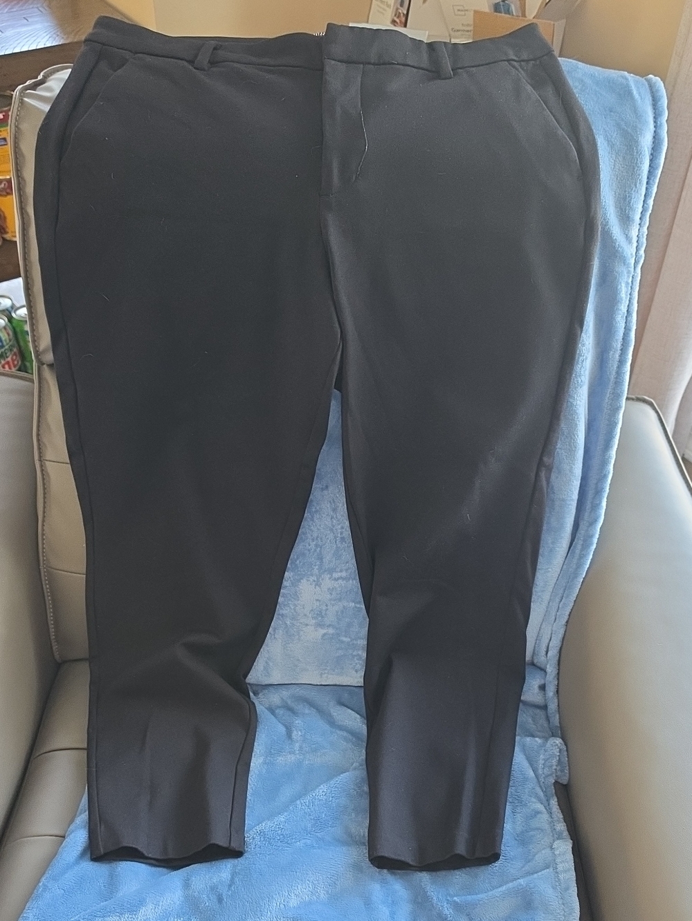 Liverpool Black Cropped Ponte Ankle Pants
